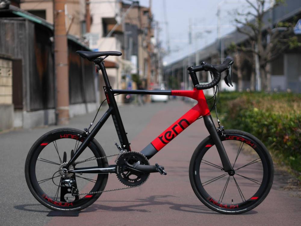 2026 SURGE PRO-2 TONE  [サージュ プロ-2 トーン]