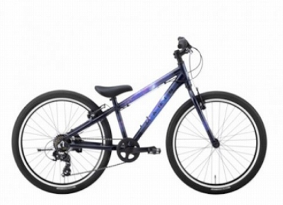 2025 DONKY JR 24 LTD [ドンキージュニア]