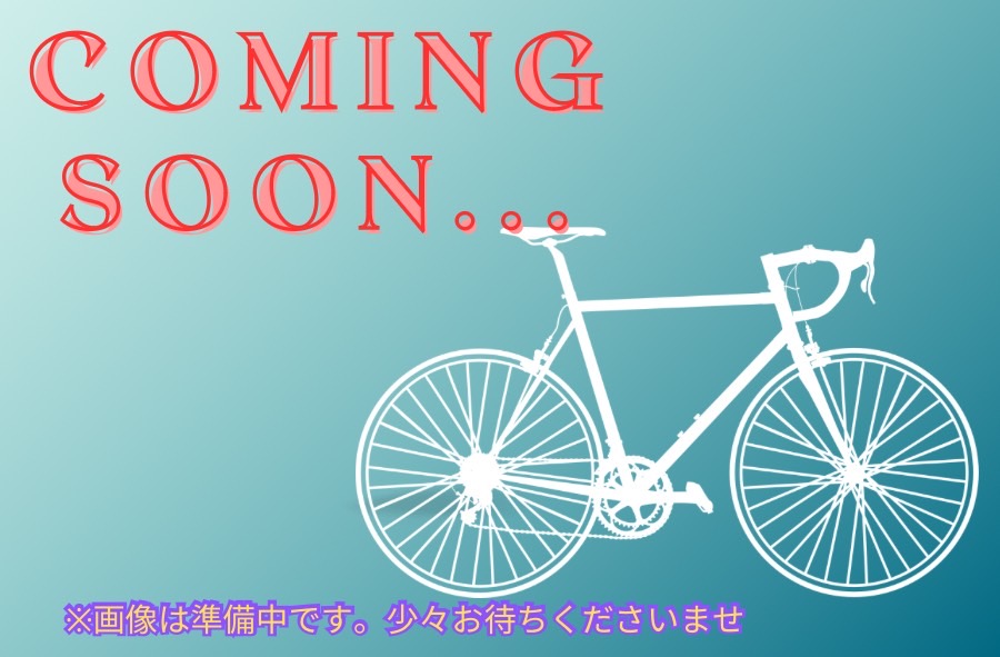 2021 PULSIUM SAT 5.0 DISC [パルシウム サット 5.0 ディスク ]