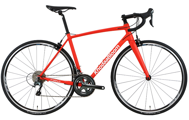 2025 FARNA  TIAGRA [ファーナ ティアグラ]